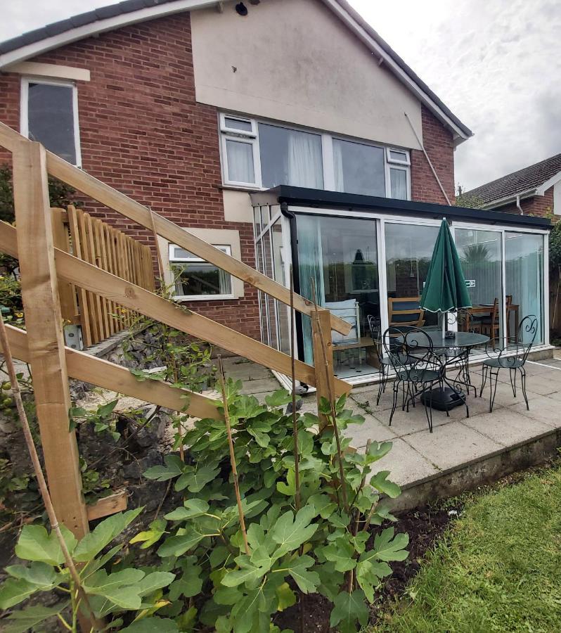 Garden Apartment Newton Abbot Dış mekan fotoğraf